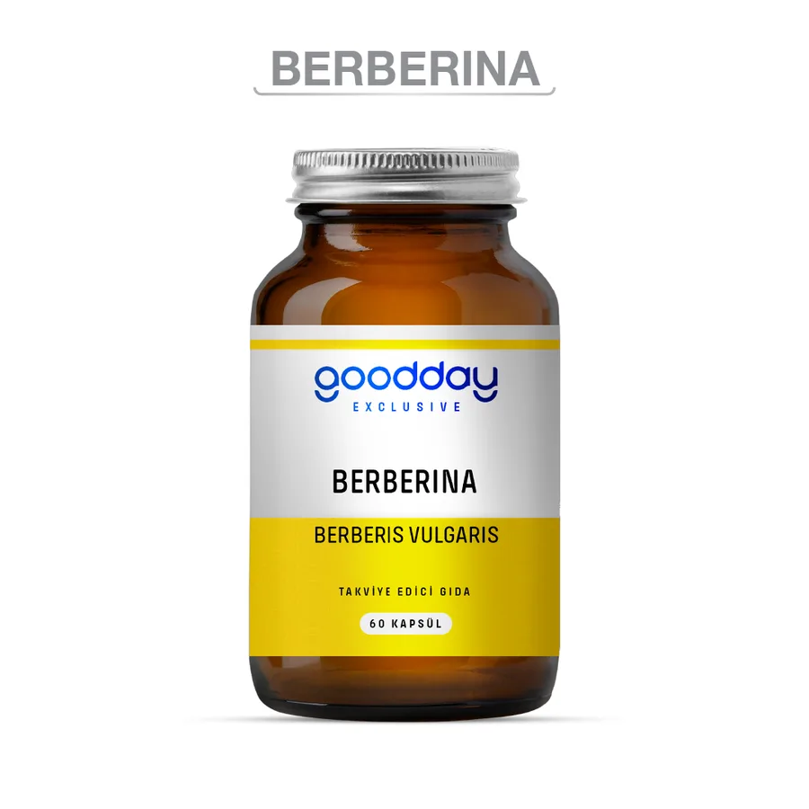 GOODDAY EXCLUSIVE BERBERINA KAPSÜL
